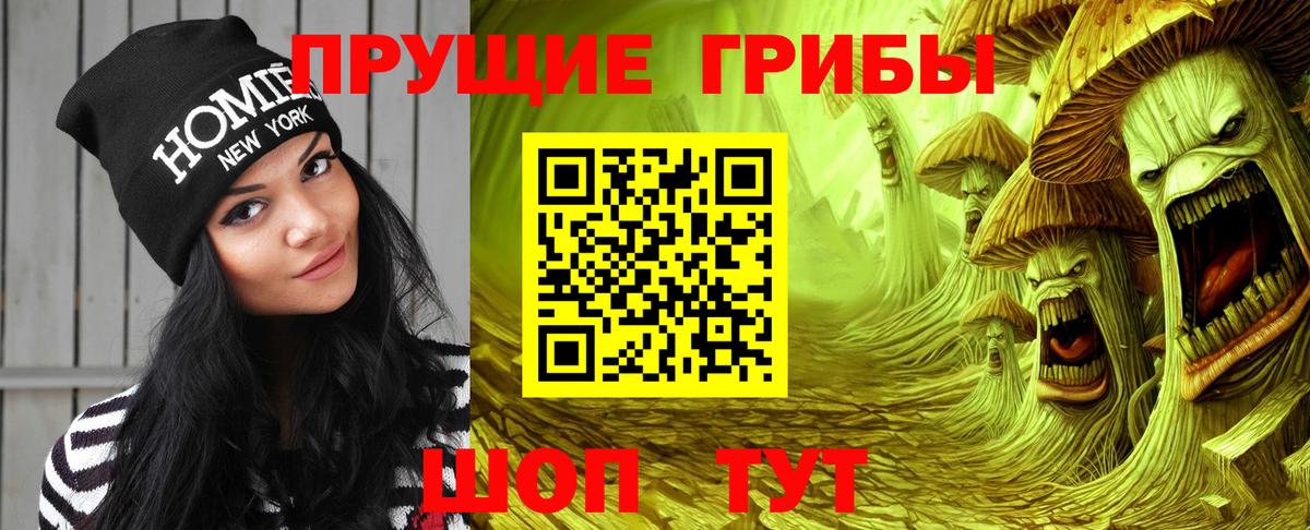 Кузнецк  Галлюциногенные грибы мицелий  Вход с VPN 