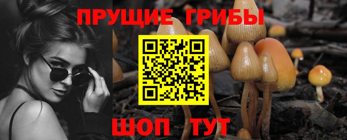 Галлюциногенные грибы мухоморы Кузнецк